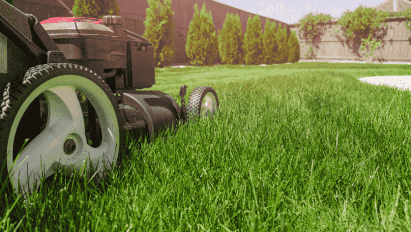 lawn-mowing-service