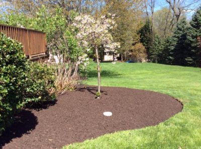 mulching-beds