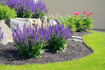 mulching-flowers