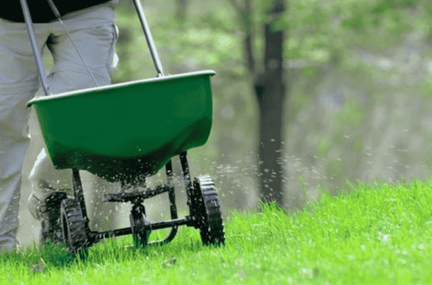 grass-seeding-service