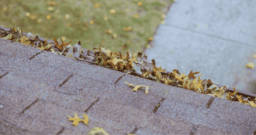 gutter-cleanup-service