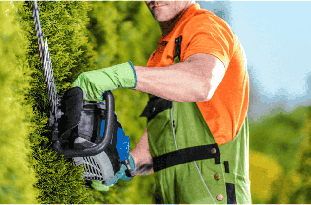 shrub-trimming-service